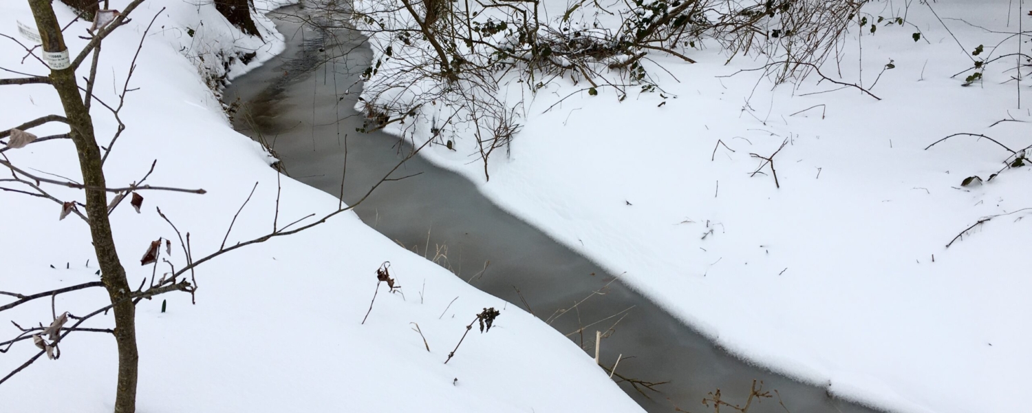 The brook in the snow