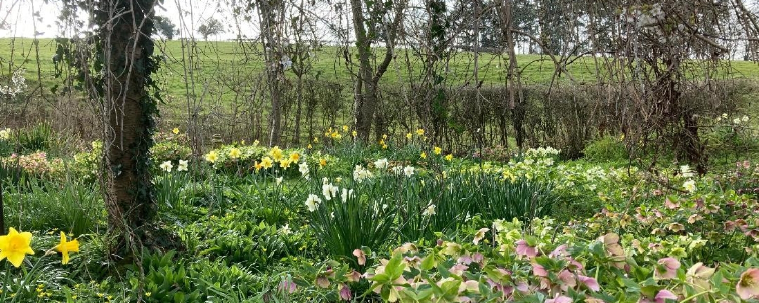 Spring views at Brook Farm